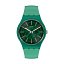 Swatch New Gent Sunbrush Grass SO29G100